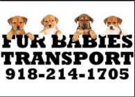 Fur Babies Transport