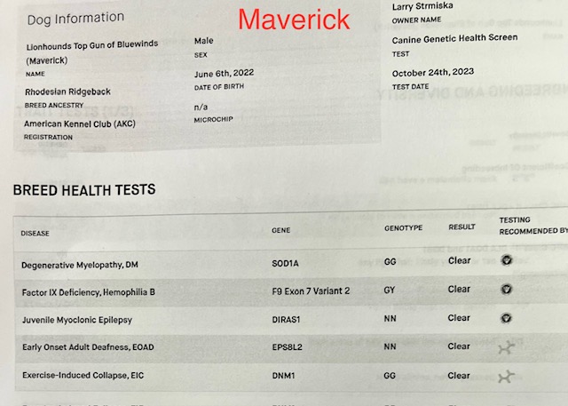 Maverick- Health tests